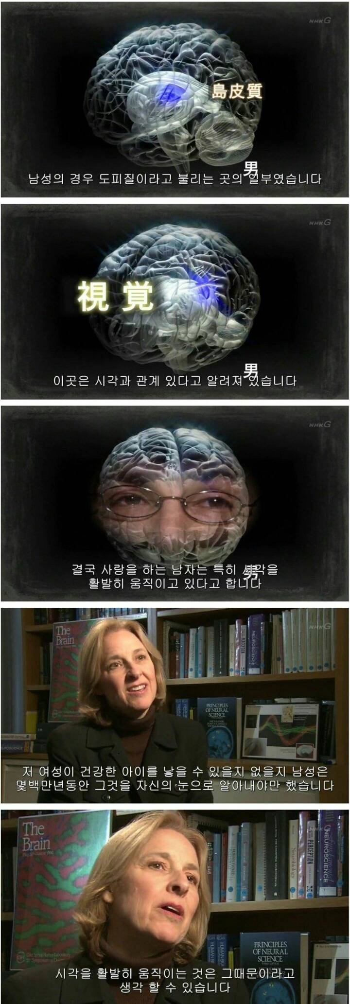 남자들이 골반에 열광하는 이유 | 인스티즈