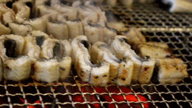 고소한 장어구이 움짤 gif | 인스티즈