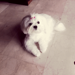 자꾸 눈이 가네 하얀 그 얼굴에.jpgif | 인스티즈