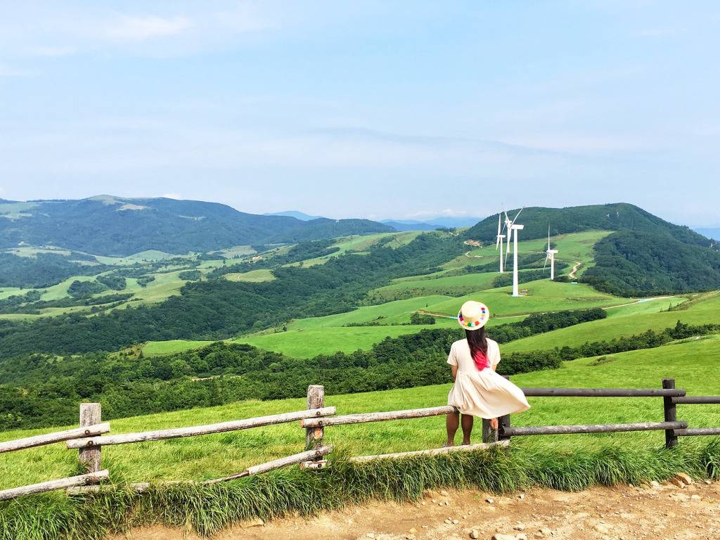  몽환적인 대한민국 풍경 | 인스티즈
