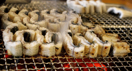 고소한 장어구이 움짤 gif | 인스티즈