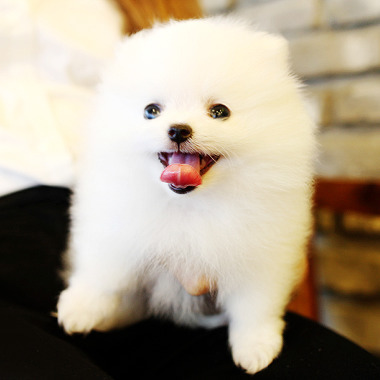 자꾸 눈이 가네 하얀 그 얼굴에.jpgif | 인스티즈