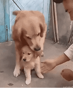 유아인이야말로 진짜 는 상남자인 것 같습니다 | 인스티즈