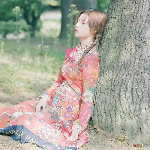 나무에 기대 조는 사나.gif | 인스티즈