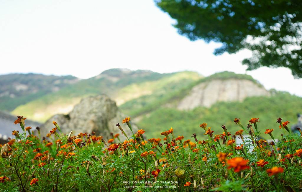 취미로 찍는 사진 그 다섯번째입니다 | 인스티즈