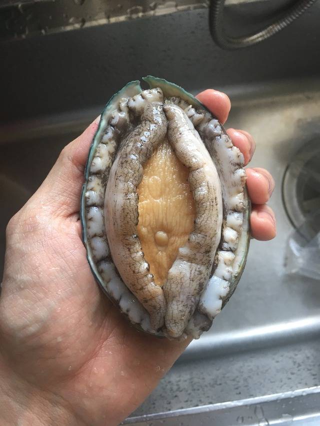 만들어 먹었던 음식들... | 인스티즈