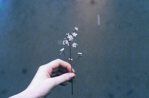 모든 게 엉망이었을 때도 나는 자살하지 않았다 | 인스티즈