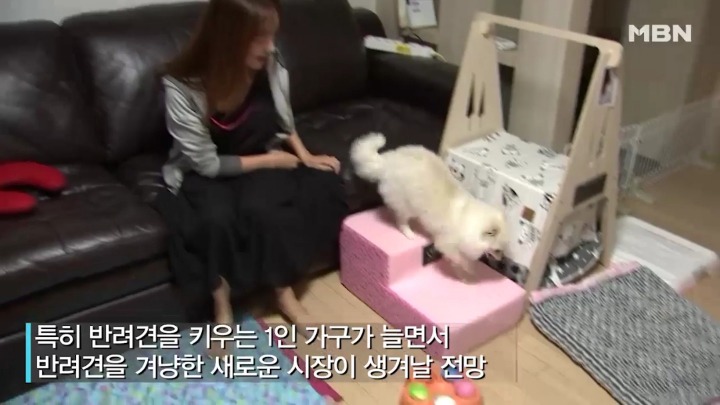 강아지 유치원 하루일과.jpg | 인스티즈