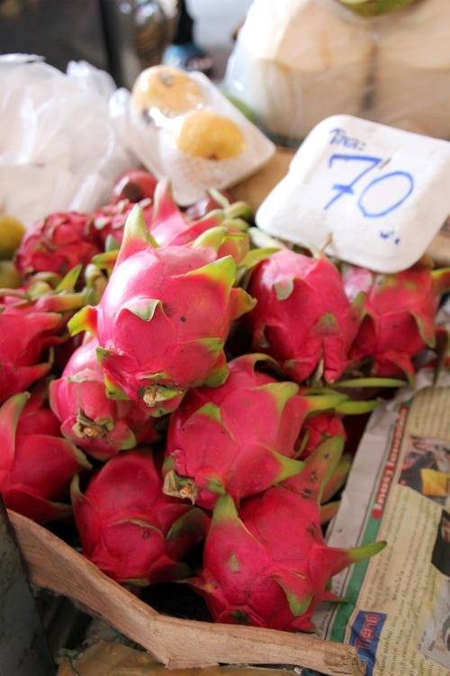 달콤하고 시원한 맛을 주는 이상하게 생긴 과일.jpg | 인스티즈