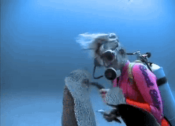 바다의 못난이 3형제중 하나인 곰치의 먹이먹는 방법.jpgif | 인스티즈