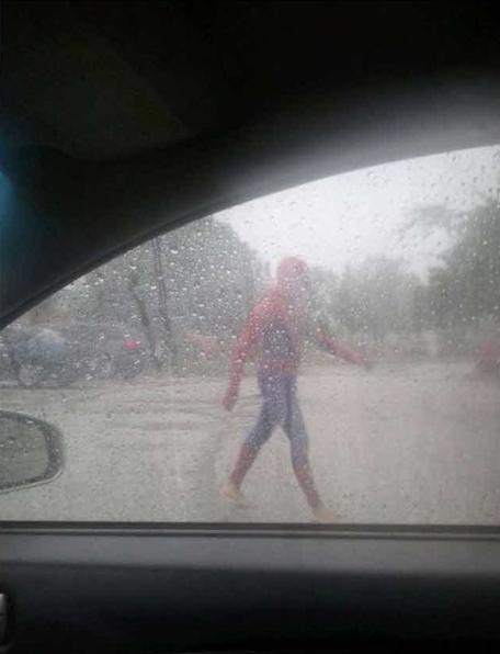 홍수에 대처하는 서양인들의 자세.gif | 인스티즈