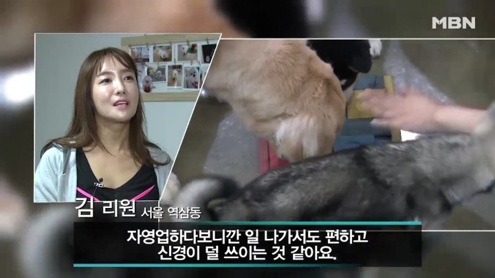 강아지 유치원 하루일과.jpg | 인스티즈