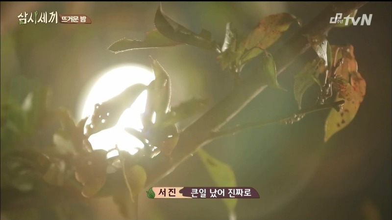 [삼시세끼] 고아라 등장에 정신 못차리는 옥택연을 지켜보는 이서진의 말말말...jpg | 인스티즈