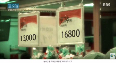 백두산이 폭발한다면? | 인스티즈