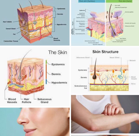 몸매 기준만큼 엄격한 "좋은 피부"에 대한 강박관념 | 인스티즈