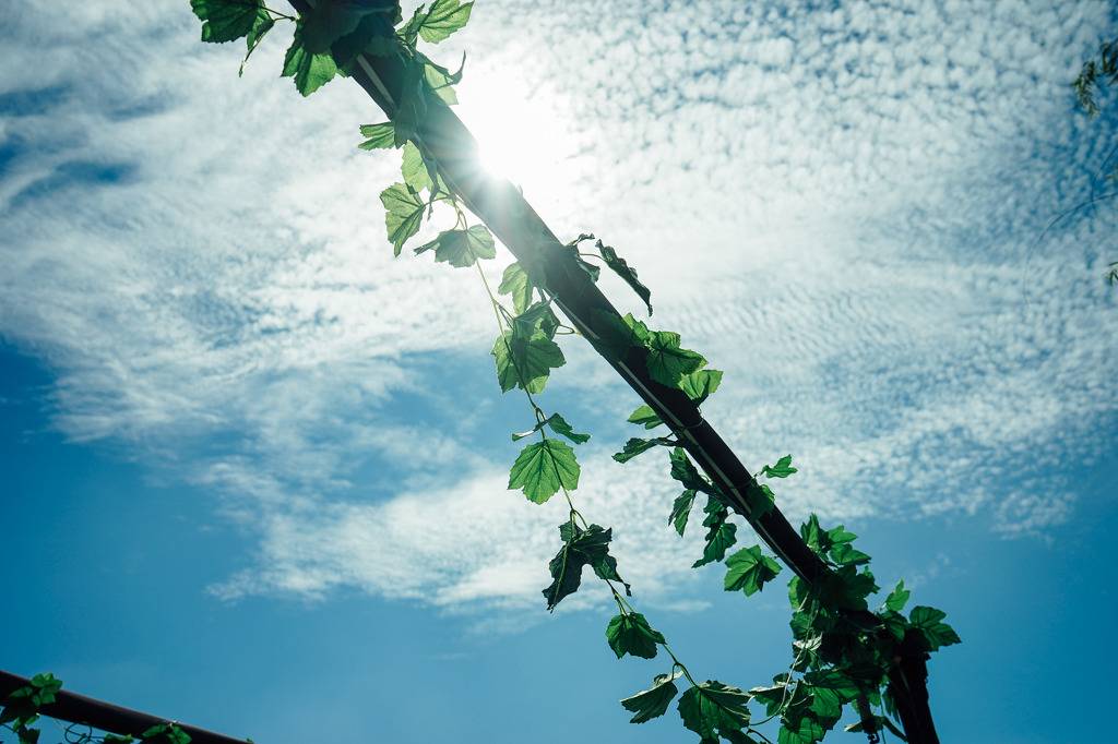 취미로 찍는 사진 그 다섯번째입니다 | 인스티즈