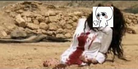 이슬람율법 SHARIAH법(혐오주의) | 인스티즈