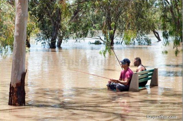 홍수에 대처하는 서양인들의 자세.gif | 인스티즈