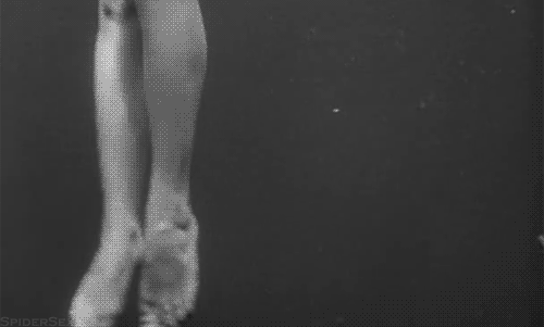 바다를 건드리면 안되는 이유.jpg (심쿵주의 심해생물사진있음!!!) | 인스티즈