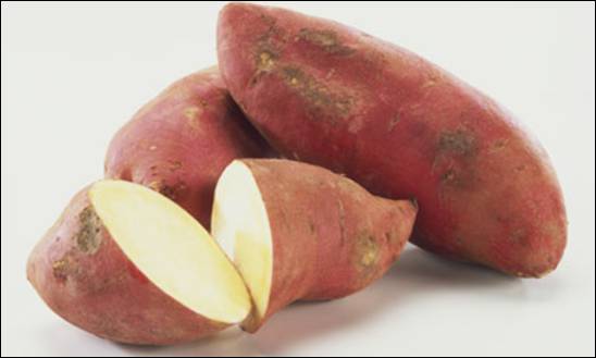 불호하는 음식들 | 인스티즈