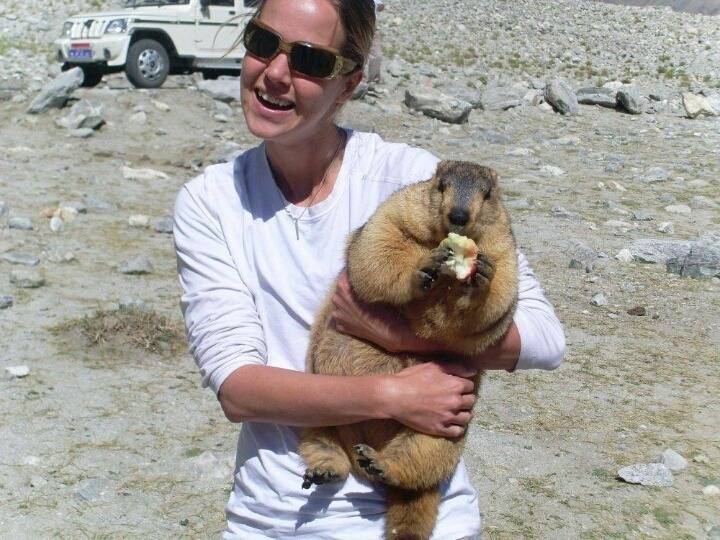 뱃살 만져보고 싶은 동물 | 인스티즈