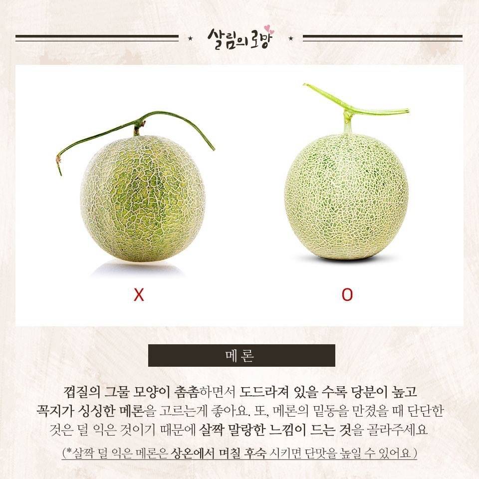 여름과일 잘 고르는 팁 | 인스티즈