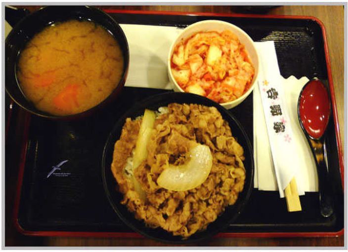 일본에 가면 절대로 가선 안 되는 덮밥집 | 인스티즈