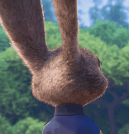 [주토피아X잘못된만남] 멍청한 토끼와 교활한 여우의 만남.gif -06- (망상주의) | 인스티즈