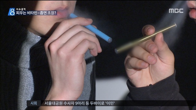 청소년들에게 인기 있는 비타민 스틱 | 인스티즈