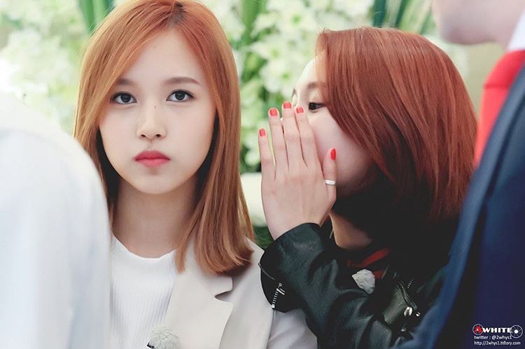 [트와이스] 대표 케미 미챙(미나+채영) 달달한 분위기 짤들.gif | 인스티즈