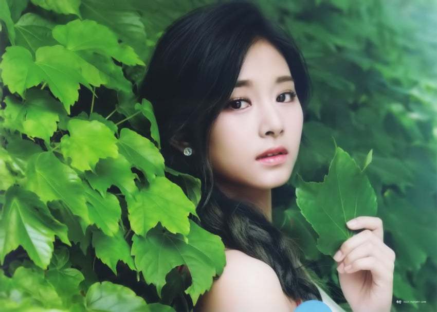 트와이스 L홀더 사진 | 인스티즈