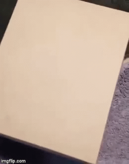 열받을 땐 고양이3.gif | 인스티즈