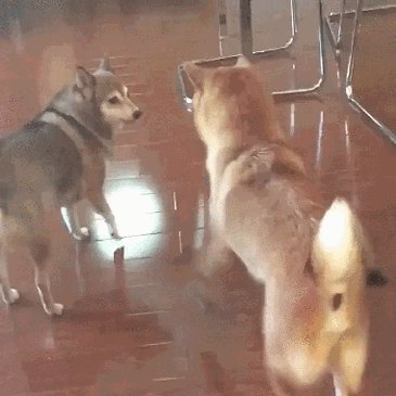 흔한 디자이너 채용공고 | 인스티즈