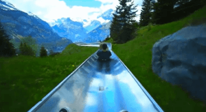 스위스식 피서 | 인스티즈