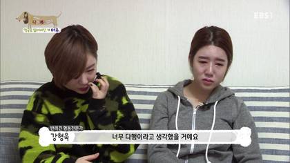 아픈 개가 주인을 피하는 이유 +추가 | 인스티즈