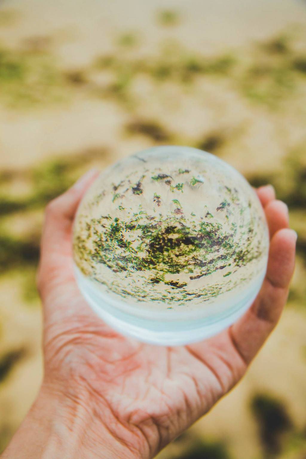 유리구슬로 담아본 제주도의 풍경들 | 인스티즈