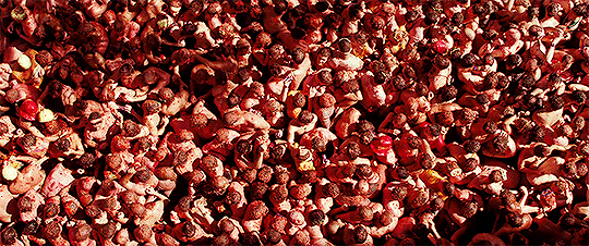 [영화] 케빈에 대하여 (2011) | 인스티즈