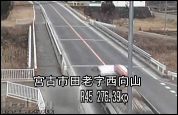 지진.gif | 인스티즈