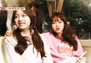 IOI 서열 10위와 11위(유댕&펭귄) | 인스티즈