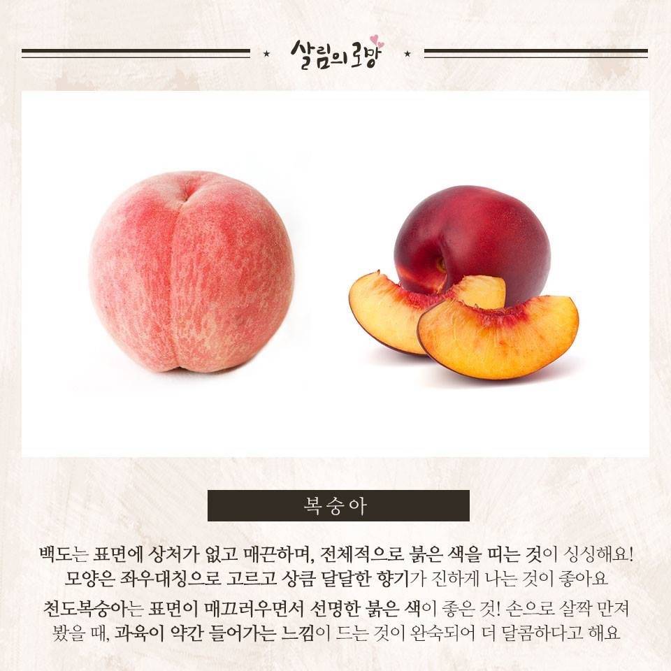 여름과일 잘 고르는 팁 | 인스티즈