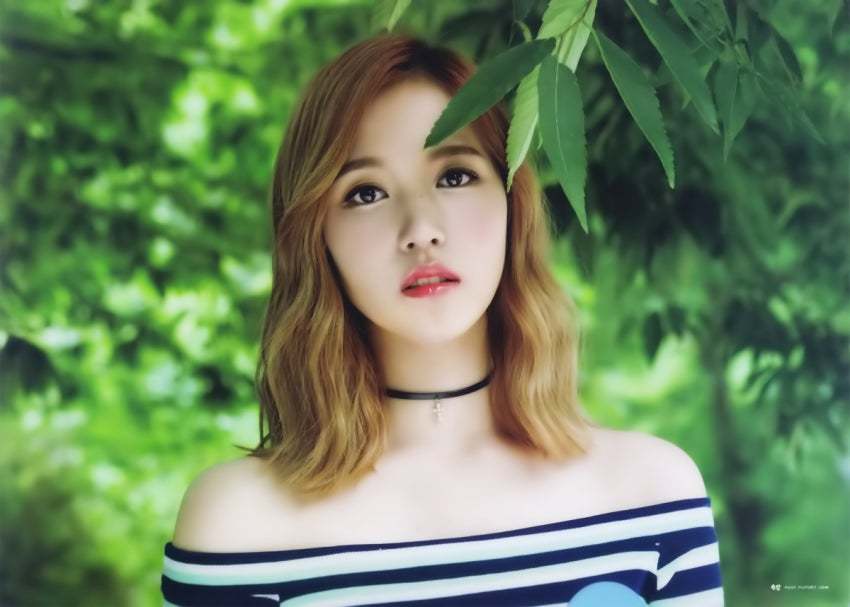 트와이스 L홀더 사진 | 인스티즈