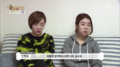 아픈 개가 주인을 피하는 이유 +추가 | 인스티즈