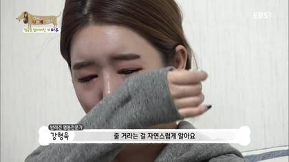 아픈 개가 주인을 피하는 이유 +추가 | 인스티즈