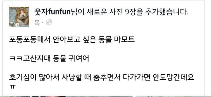 뱃살 만져보고 싶은 동물 | 인스티즈