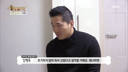 아픈 개가 주인을 피하는 이유 +추가 | 인스티즈