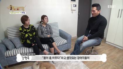 아픈 개가 주인을 피하는 이유 +추가 | 인스티즈