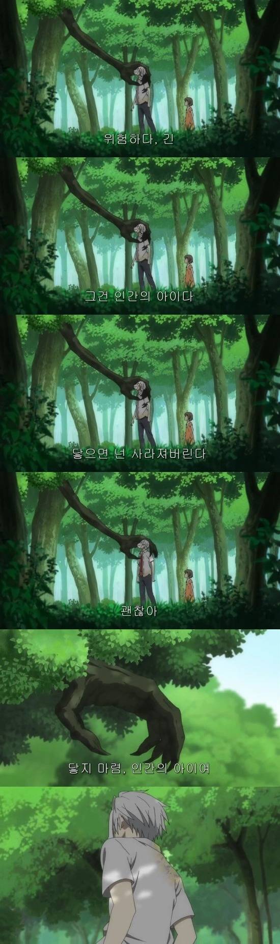 반딧불이의 숲으로 전편 | 인스티즈