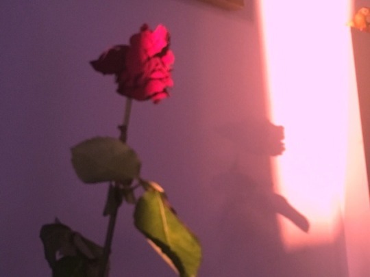  비는 소리가 없다 | 인스티즈