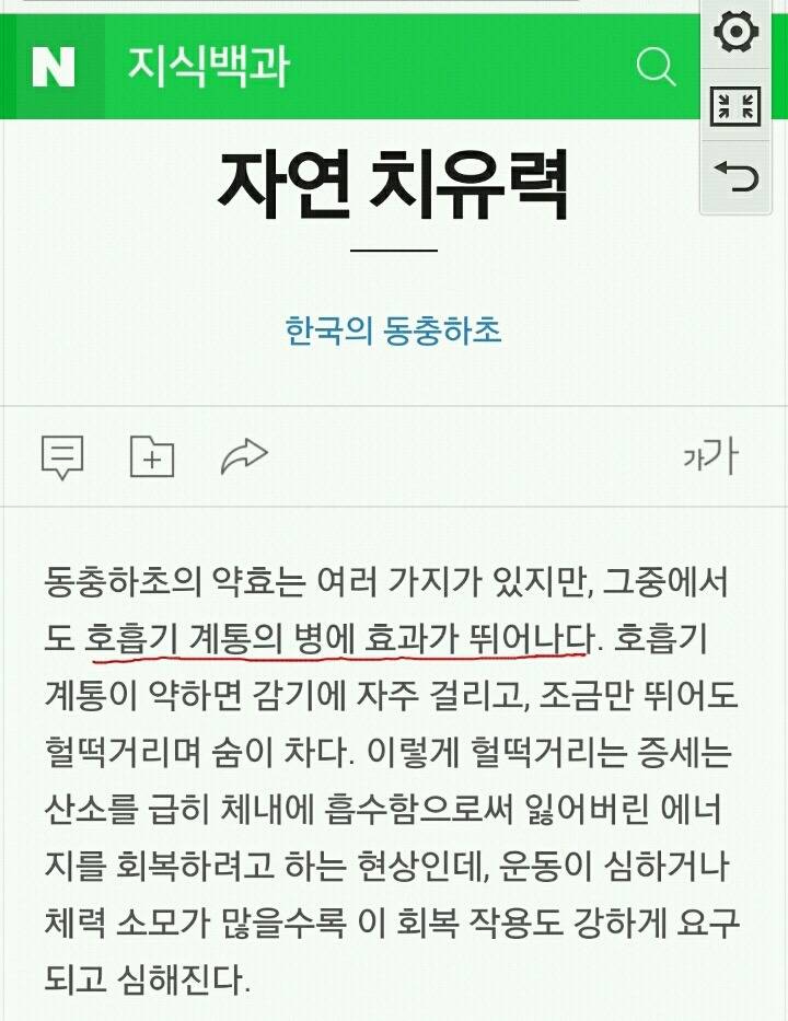 많이 섬뜩한 동충하초의 비밀(feat.포켓몬스터 동심파괴) | 인스티즈