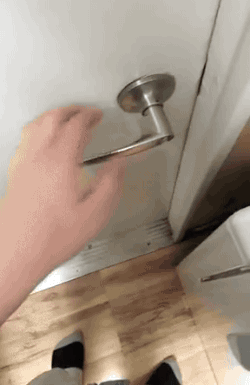 주인을 반기는 개와 고양이의 차이.GIF | 인스티즈